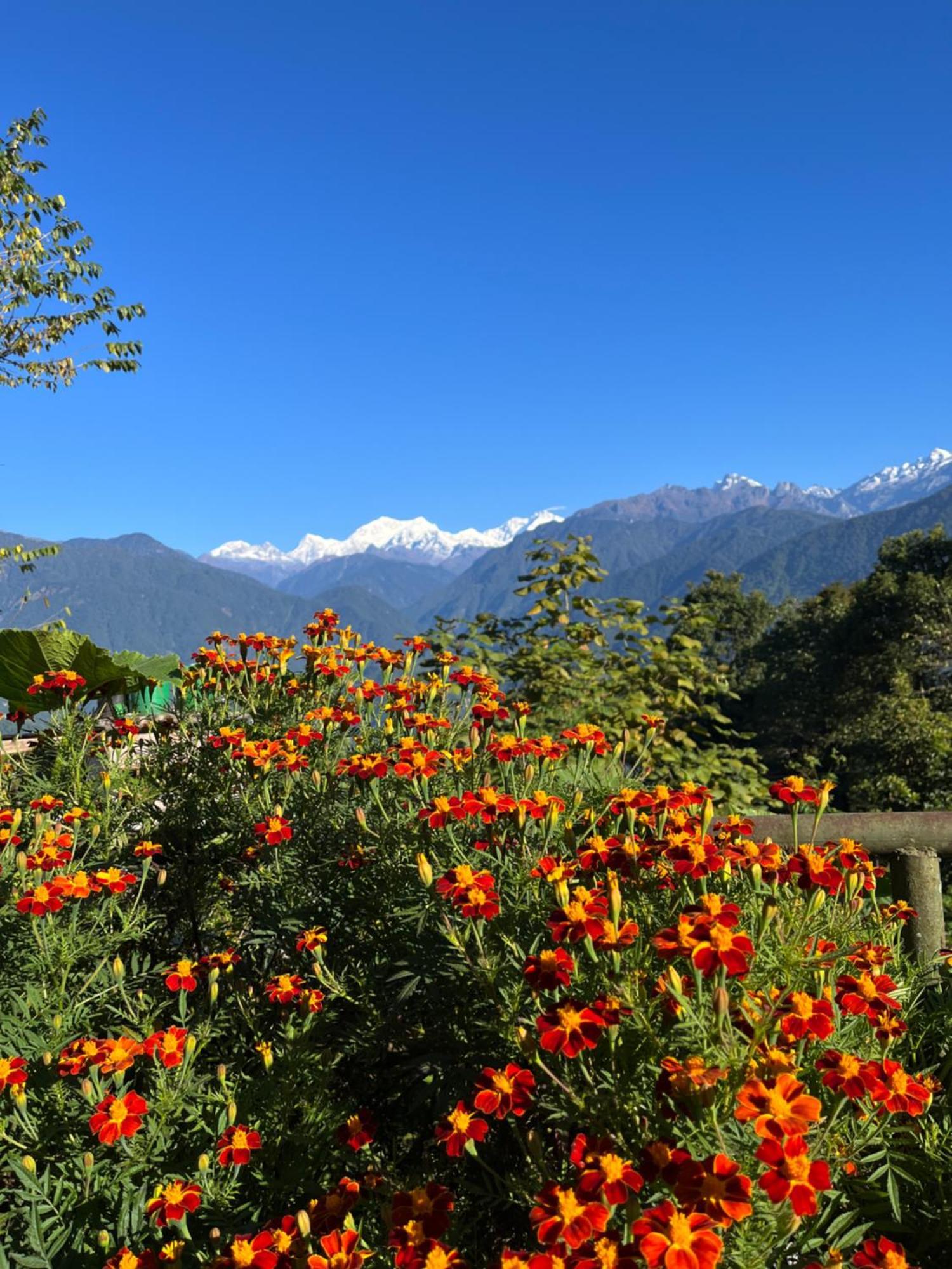 Ifseen Villa Pelling Exterior foto