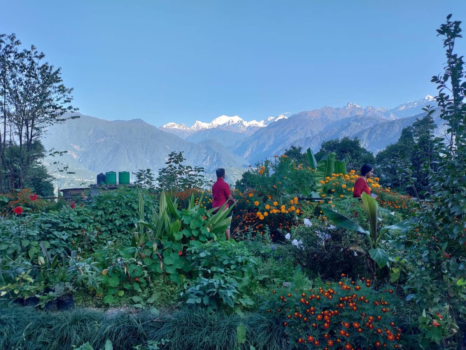 Ifseen Villa Pelling Exterior foto